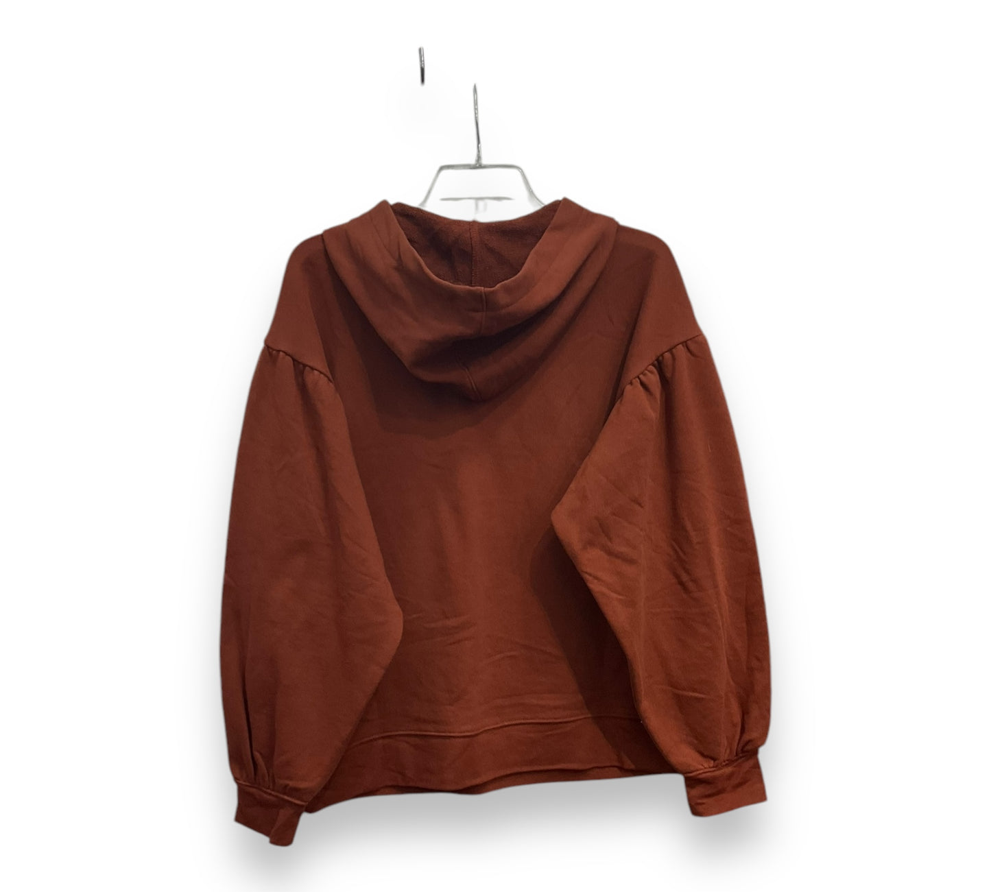 Sweatshirt Hoodie By Madewell In Brown, Size: L