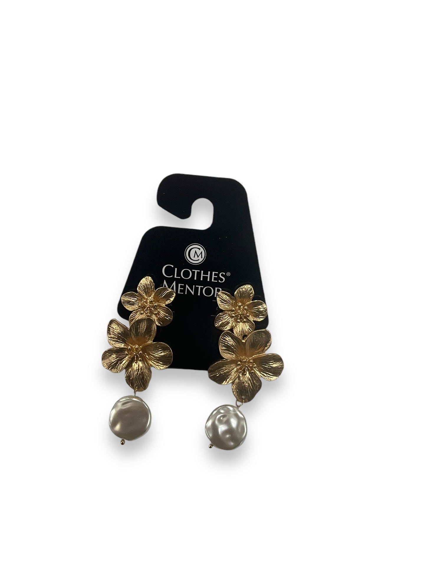 Earrings Dangle/drop By Clothes Mentor