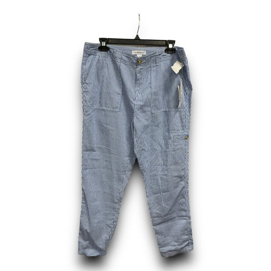 Pants Other By Liz Claiborne  Size: 6