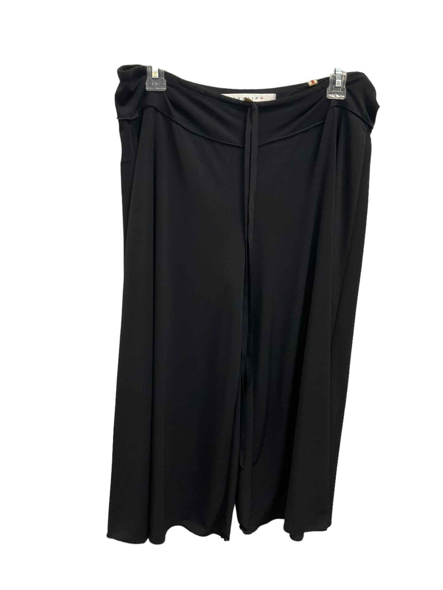 Pants Wide Leg By Studio M  Size: M