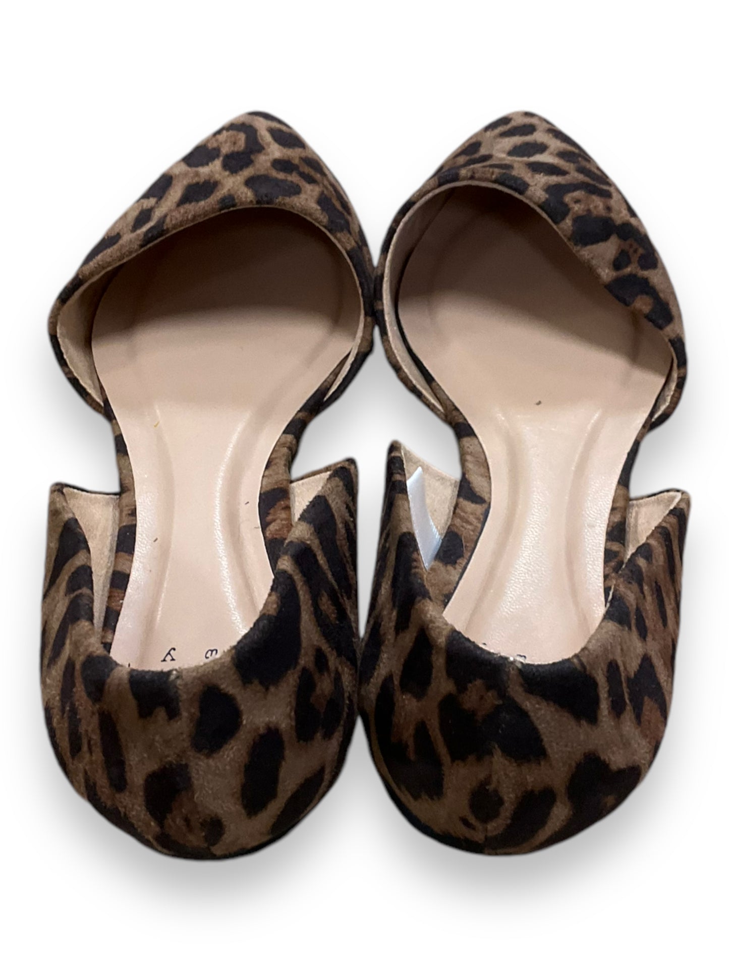 Shoes Flats By A New Day In Animal Print, Size: 8.5