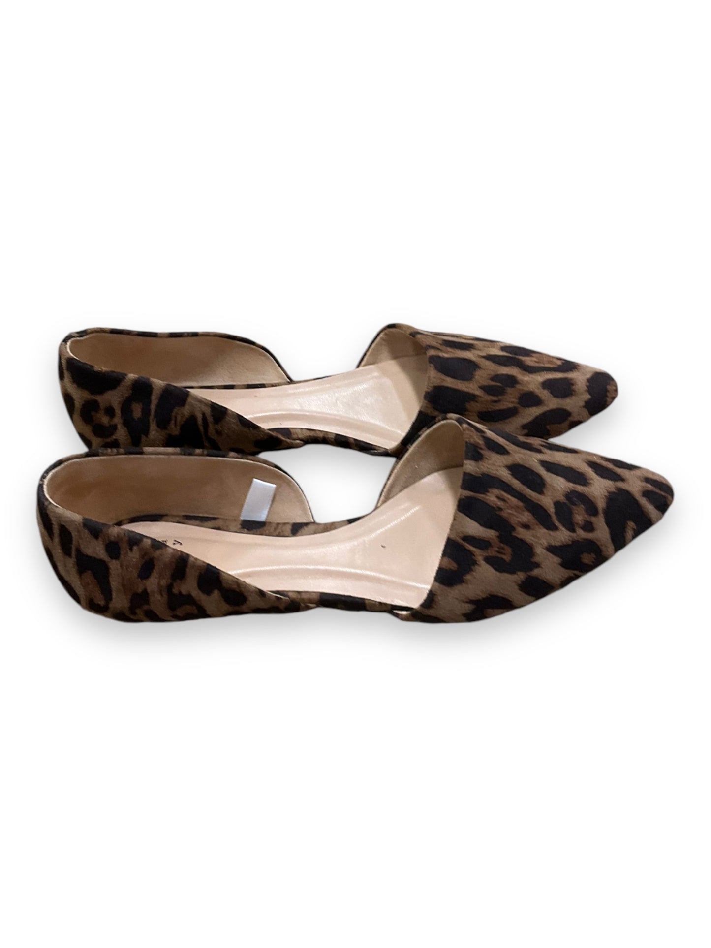 Shoes Flats By A New Day In Animal Print, Size: 8.5