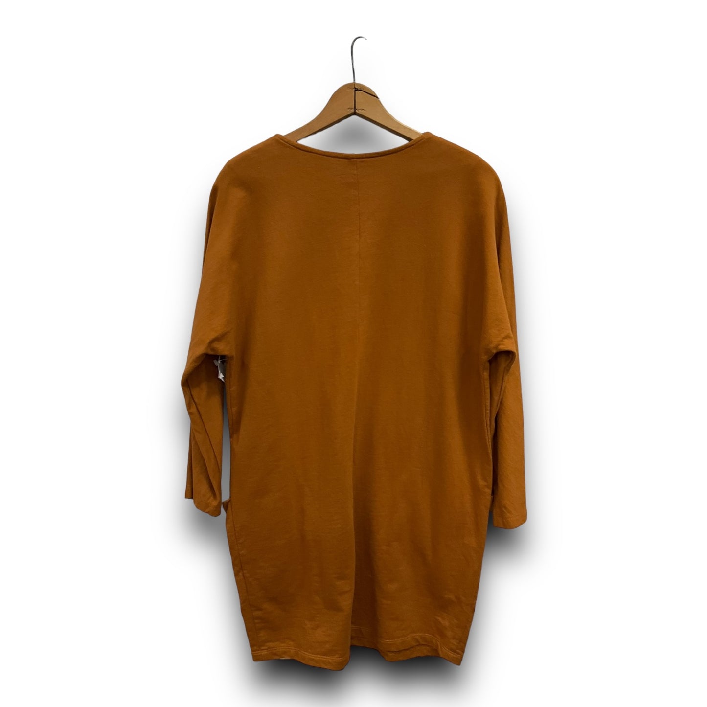 Tunic Long Sleeve By Clothes Mentor  Size: M