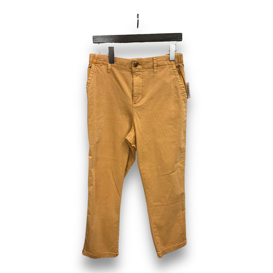 Pants Cargo & Utility By Old Navy  Size: M